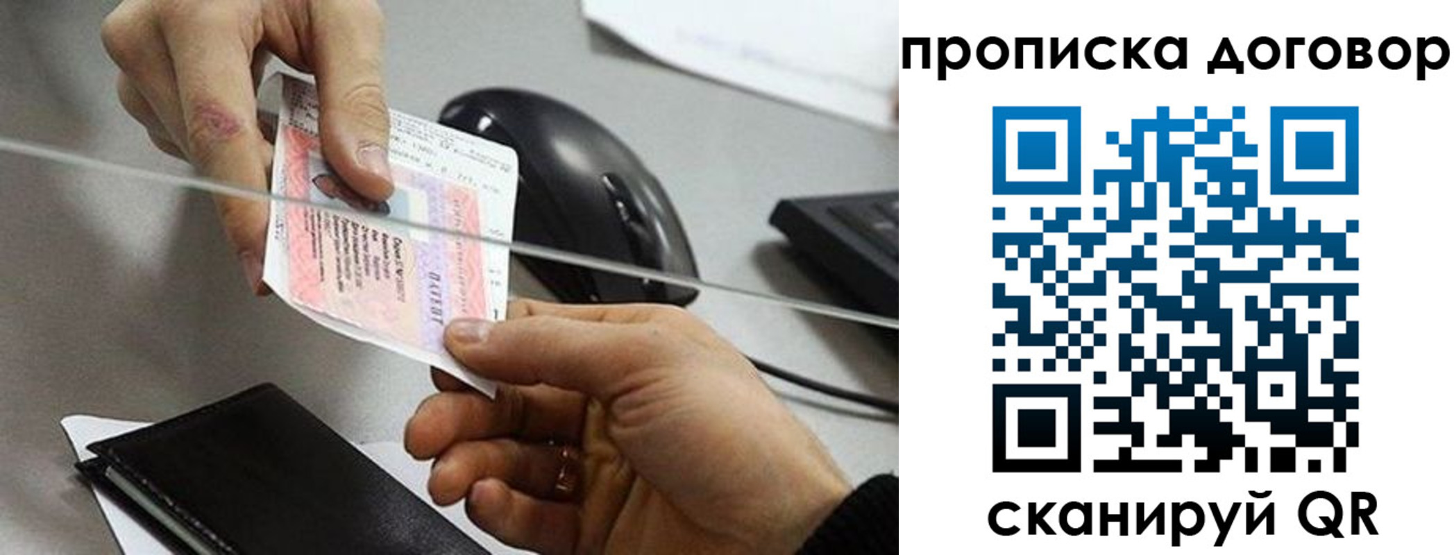 прописка поиск в Ростове